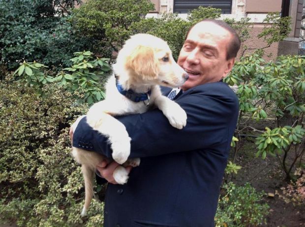 Brambilla: "Berlusconi ha 21 cani brambilla-and-quot-berlusconi-ha-21-cani-ne-ha-salvati-5-dal-canile-di-olbia-and-quot