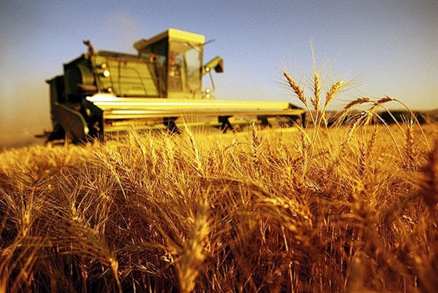 agricoltura-tre-anni-di-ritardo-per-il-rimborso-dei-contributi-assicurativi-contro-le-calamit-and-agrave