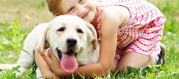 sanit-and-agrave-pet-therapy-diventa-cura-ufficiale-anche-in-sardegna