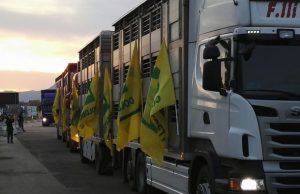 sa-paradura-la-solidarieta-dei-pastori-sardi-partite-da-olbia-1000-pecore-per-cascia