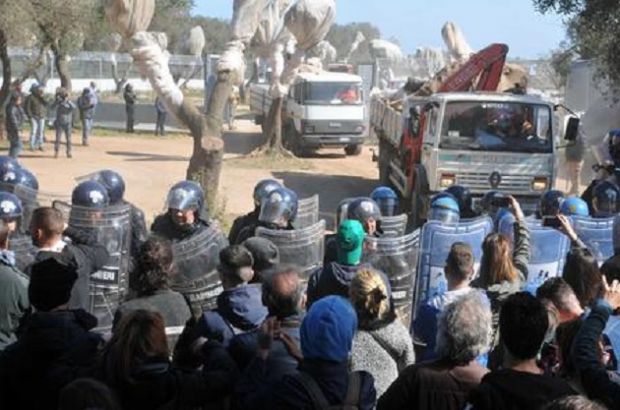 Gasdotto Tap: ripresi lavori espianto degli ulivi. Bombe carta a Lecce gasdotto-tap-ripresi-lavori-espianto-degli-ulivi-bombe-carta-a-lecce