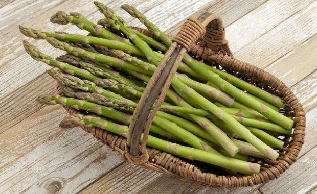 asparagi-selvatici-protagonisti-a-villanova-truschedu
