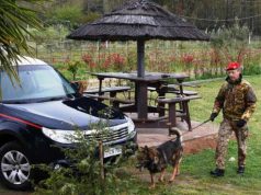 Deposito droga con 320kg di marijuana in allevamento Sassari traffico-di-droga-in-ogliastra-un-arresto-e-sette-denunce-in-operazione-and-lsquo-dirty-fish-and-rsquo