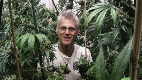 cinema-un-docufilm-per-sdoganare-la-cannabis