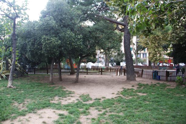 Alghero avrà le sue 'Oasi canine'. M5s: "Vittoria importante" alghero-avr-and-agrave-le-sue-oasi-canine-m5s-and-quot-vittoria-importante-and-quot