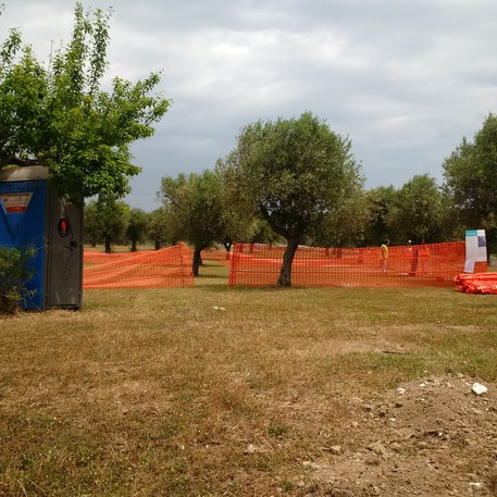 tap-intesa-su-ulivi-zollati-sopralluogo
