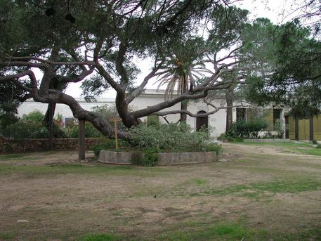 giardini-garibaldi-tra-pi-and-ugrave-belli-italia
