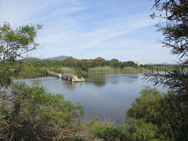 Alghero alghero-chiosco-al-calich-comune-and-quot-in-presenza-di-cemento-bloccheremo-tutto-and-quot-m5s-and-quot-vigileremo-and-quot