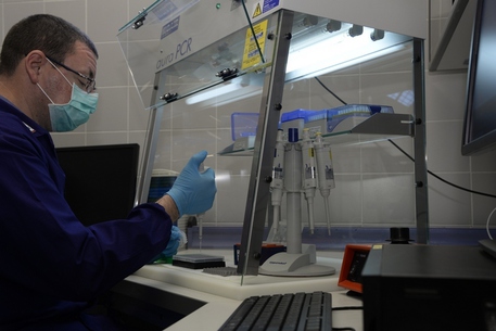 provette-dna-tornano-a-perdasdefogu