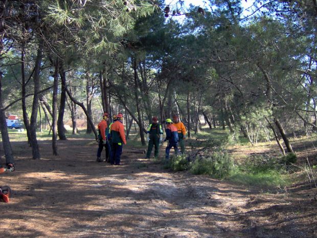 vertenza-forestas-lavoratori-in-stato-di-agitazione-sindacati-and-quot-serve-incontro-con-regione-and-quot