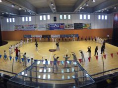svolto-a-sestu-il-terzo-seminario-regionale-di-hapkido
