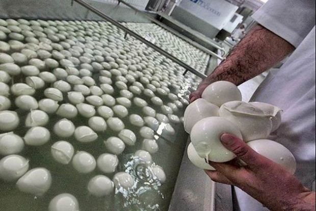 caseifici-aperti-due-giorni-iniziativa-per-rilancio-settore