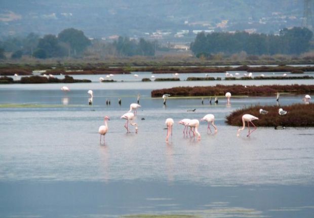 arresti-fluorsid-gip-inquinata-laguna-di-santa-gilla