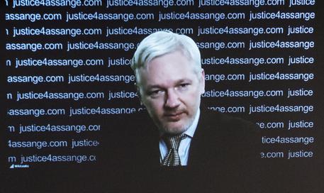 assange-and-quot-non-perdono-7-anni-detenzione-and-quot