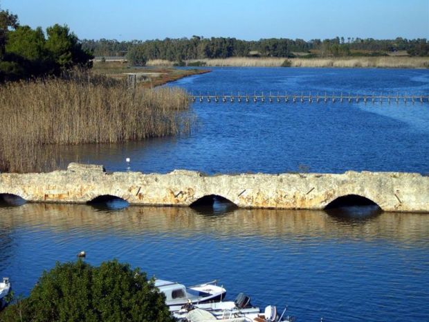 ambiente-stop-ai-reflui-nello-stagno-calich-ad-alghero