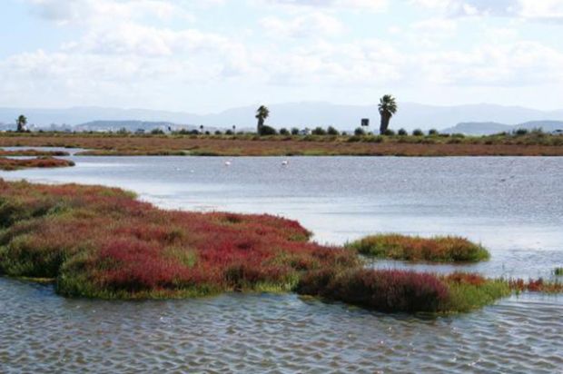 fluorsid-al-via-campionamenti-nelle-falde-di-santa-gilla