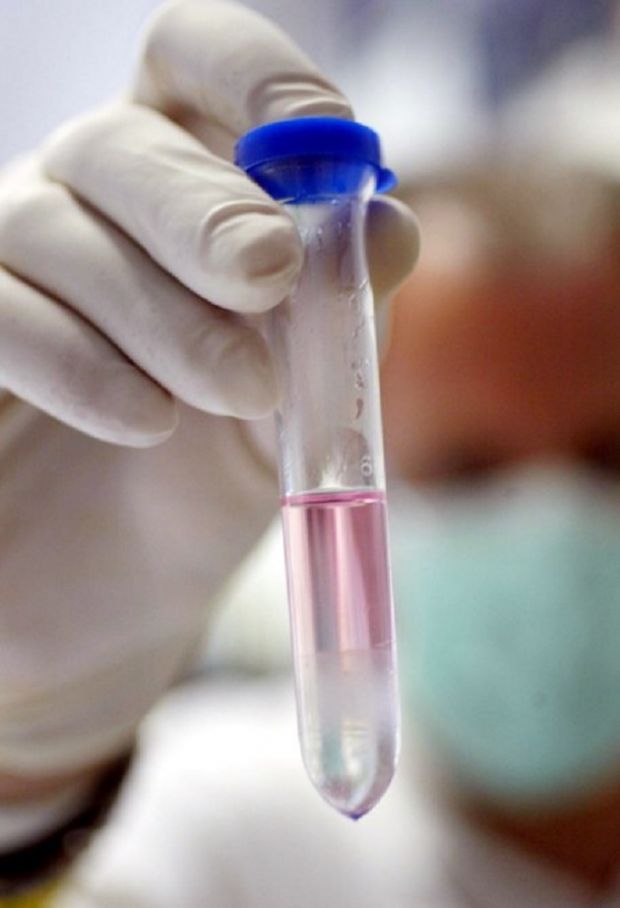 Stamina stamina-filone-bresciano-4-condanne