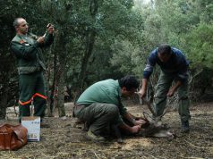 forestas-domani-sciopero-giunta-dialoga-con-cgil-cisl-uil