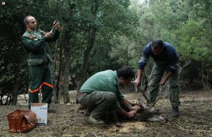 forestas-domani-sciopero-giunta-dialoga-con-cgil-cisl-uil