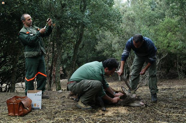 forestas-il-primo-giugno-sciopero-dei-lavoratori