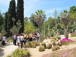 ambiente-al-via-collaborazione-fra-orto-botanico-e-forestas