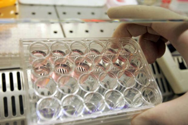 M5s m5s-cancelleremo-decreto-su-vaccini