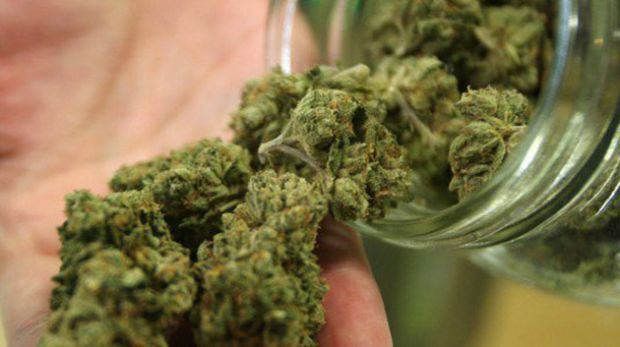 arriva-in-consiglio-regionale-proposta-di-legge-per-l-and-rsquo-utilizzo-cannabis-con-finalit-and-agrave-terapeutiche