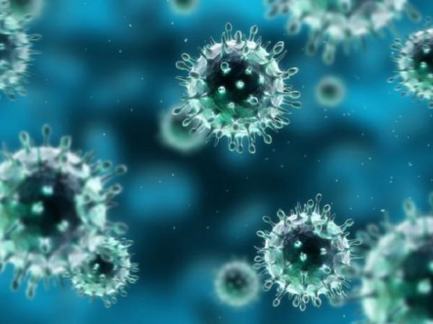 virologa-universit-and-agrave-cagliari-vince-premio-and-quot-women-in-science-and-quot