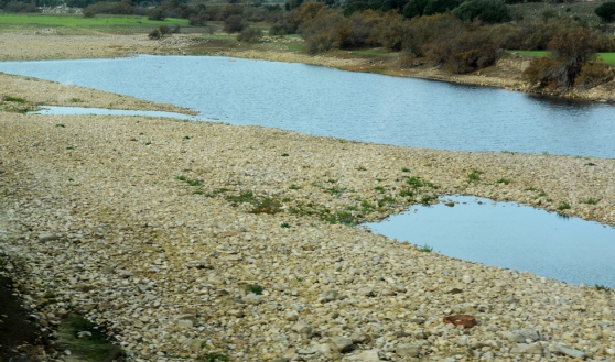 Siccità siccit-and-agrave-la-gallura-and-egrave-in-stato-di-allerta