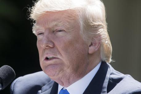 trump-mai-fake-news-cos-and-igrave-in-malafede