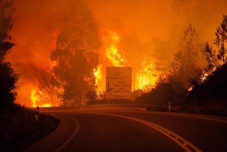 portogallo-incendio-boschivo-almeno-57-morti