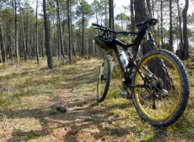 cagliari-bici-and-quot-verdi-and-quot-ai-vigili-per-aree-pedonali-e-poetto