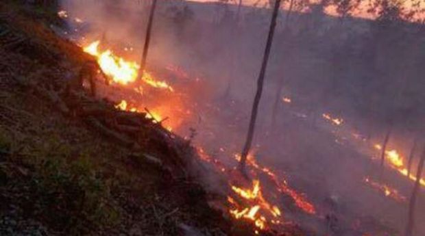 terrore-a-golfo-aranci-fiamme-nella-notte-vicino-alle-case