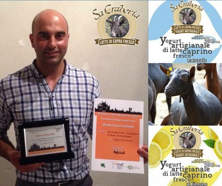 stracchino-di-latte-di-capra-premiata-sa-craberia