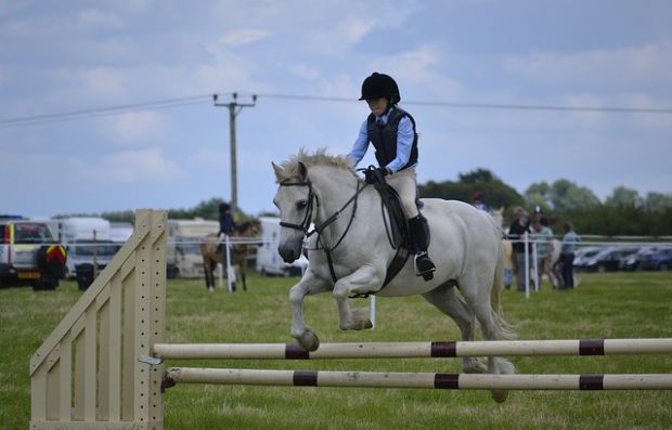 Equitazione: concluso a Arborea Sardegna Endurance Festival equitazione-concluso-a-arborea-sardegna-endurance-festival