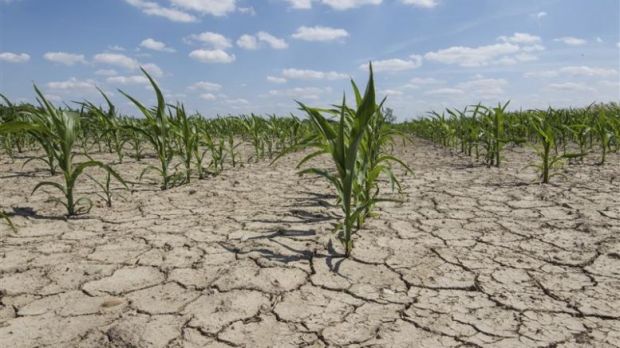 siccit-and-agrave-consorzio-di-bonifica-della-nurra-and-quot-impossibile-applicare-turnazioni-rigide-and-quot