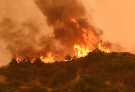 Usa: vasti incendi in California usa-vasti-incendi-in-california
