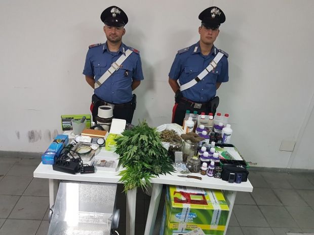 sant-antioco-trovata-piantagione-di-marijuana-in-casa-arrestato