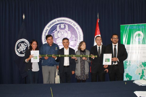 universit-and-agrave-di-sassari-in-per-and-ugrave-per-proteggere-ambiente-con-coltivazioni-di-bamb-and-ugrave