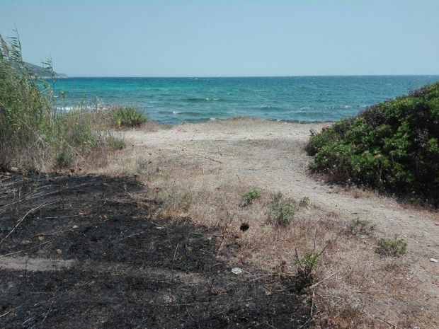 capitana-fiamme-vicino-al-camping-momenti-di-paura-per-i-bagnanti