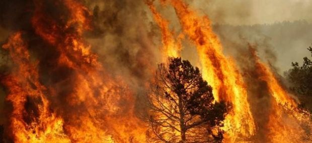incendi-5-interventi-nell-isola-con-elicotteri-regionali