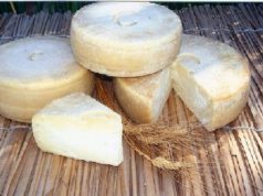 Formaggi ovicaprini “arricchiti” per migliorarne la qualità scoperta-dell-and-rsquo-universit-and-agrave-di-cagliari-arriva-il-pecorino-anti-colesterolo