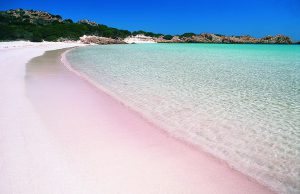 vendesi-budelli-tre-milioni-e-mezzo-per-comprare-la-and-quot-spiaggia-rosa-and-quot
