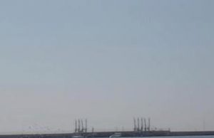 delfini-tra-le-onde-del-porto-di-cagliari