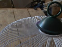 and-quot-buon-appetito-and-quot-viaggio-tra-gli-eccessi-e-le-ossessioni-della-civilt-and-agrave-moderna