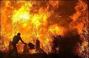 villamassargia-incendio-in-un-pagliaio-a-fuoco-500-balle