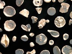 fiori-di-argilla-bianca-nel-and-lsquo-giardino-dei-desideri-and-rsquo-del-ghetto