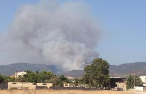 fiamme-a-flumini-distrutto-un-bosco-interviene-il-canadair
