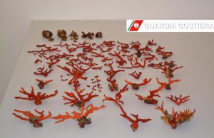porto-torres-sequestrato-un-chilo-di-corallo-rosso-quattromila-euro-di-multa-per-i-pescatori