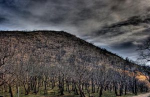 and-ldquo-quel-paesaggio-nero-sembra-la-porta-dell-and-rsquo-inferno-per-me-l-and-rsquo-immagine-della-morte-and-egrave-questa-and-rdquo